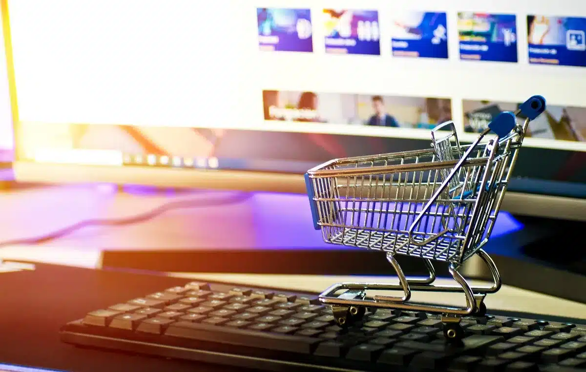 Interface d'une boutique en ligne avec panier d'achat et options de paiement