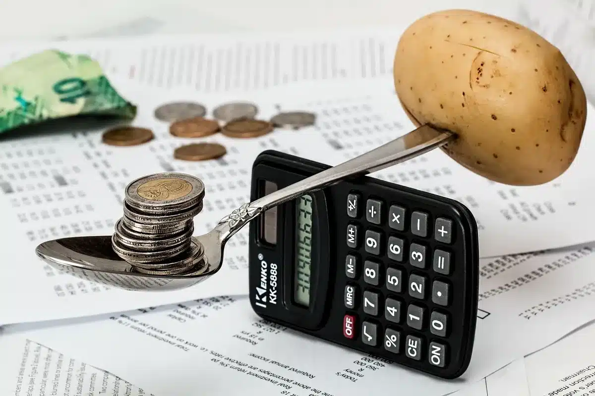 Feuille de calcul avec tarifs et budgets marketing détaillés