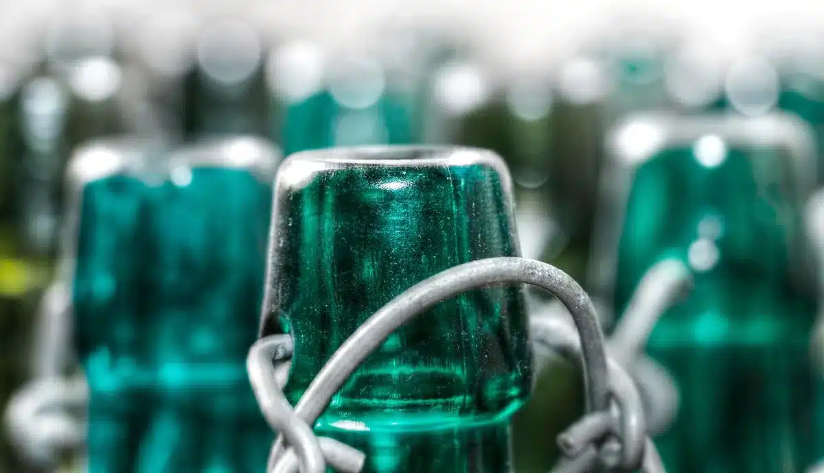Panneau de configuration serveur avec protection .htaccess et icône de cadenas