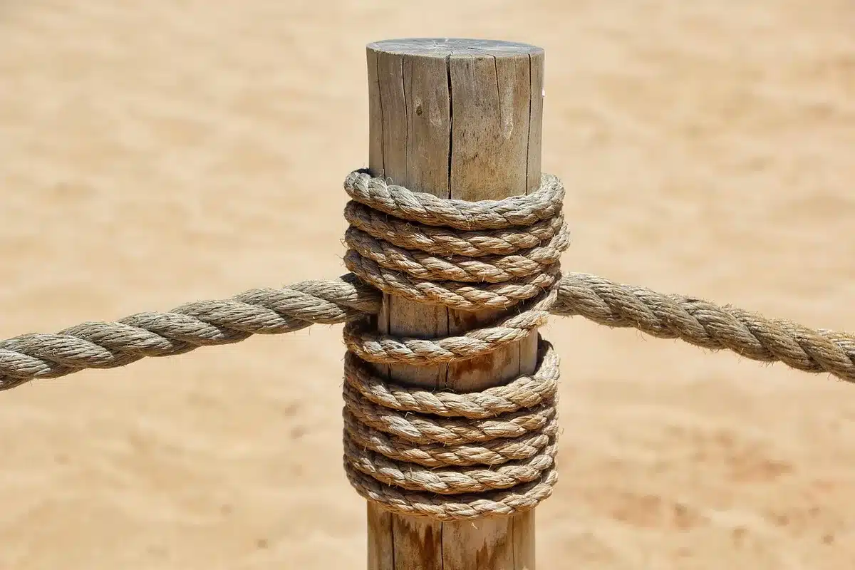Schéma simplifié d'échantillonnage de disponibilité des données par des nœuds légers